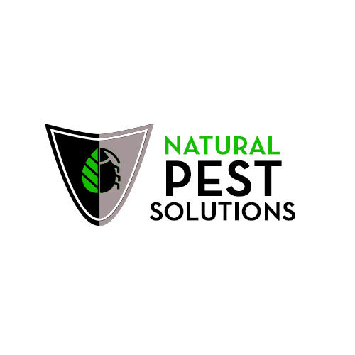 Pest Control For Insects Is Necessary Since They Can Invade A Home And Keep In It Unnoticed For M ...
